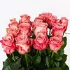 Роза Россия 60см — фото 4