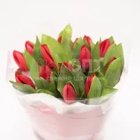 Букет № 489 с красными тюльпанами  — фото 51