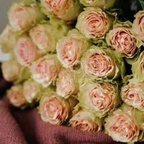 Роза Микс 60 см — фото 65