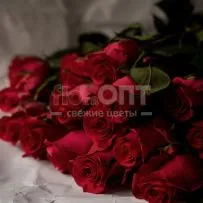 Роза Форевер 60см — фото 17