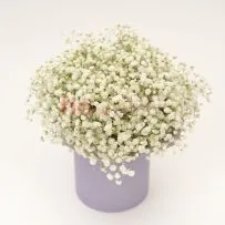 Композиция № 220 в коробке с гипсофилой  — фото 15