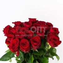 Роза Гран При 70 см — фото 53