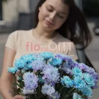 Хризантема крашеная Микс — фото 13