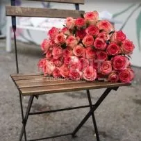 Роза Россия 50см — фото 23