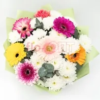 Букет № 523 с разноцветными герберами и хризантемой  — фото 33