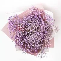 Букет 375 с крашеной гипсофилой  — фото 31