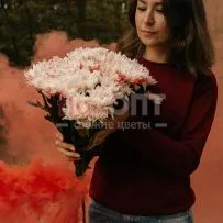 Букет № 550 из красных крашеных хризантем — фото 19