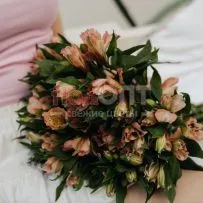 Альстромерия Люкс — фото 33