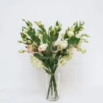 Эустома — фото 9