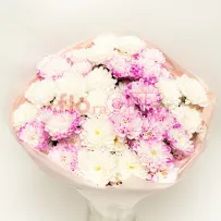 Букет № 528 с розовой хризантемой  — фото 23