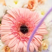 Композиция № 173 с розовой герберой и хризантемой — фото 39