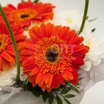 Композиция № 177 с оранжевыми герберами — фото 29