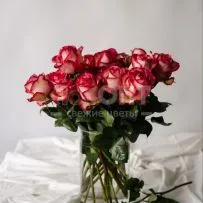 Роза Микс 50 см — фото 7