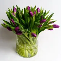 Тюльпан  — фото 29