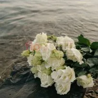 Эустома — фото 8