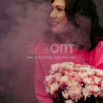 Хризантема крашеная Розовая — фото 5