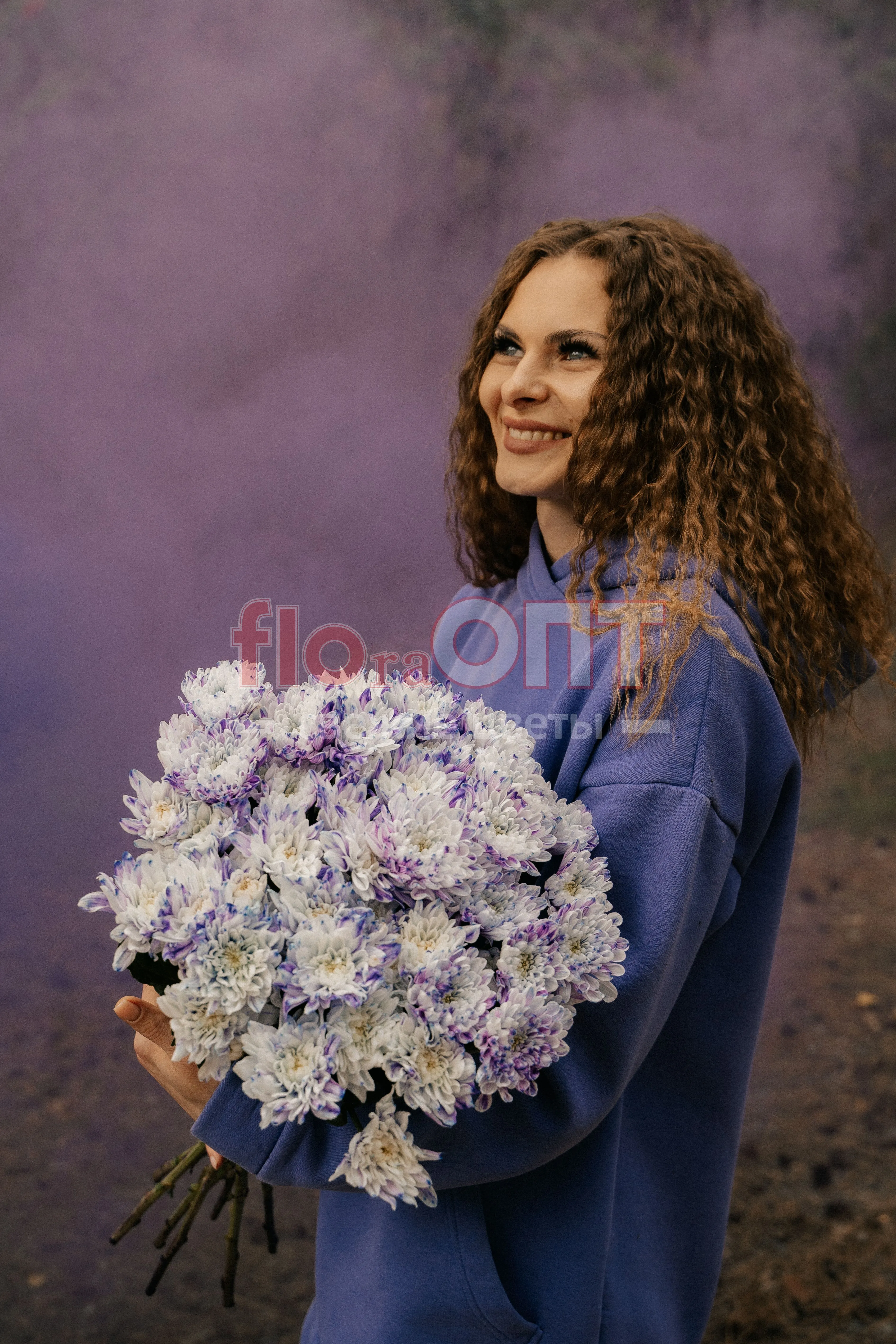 Хризантема крашеная Сиреневая — фото 1