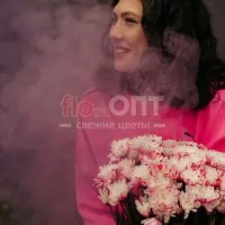 Хризантема крашеная Розовая — фото 1