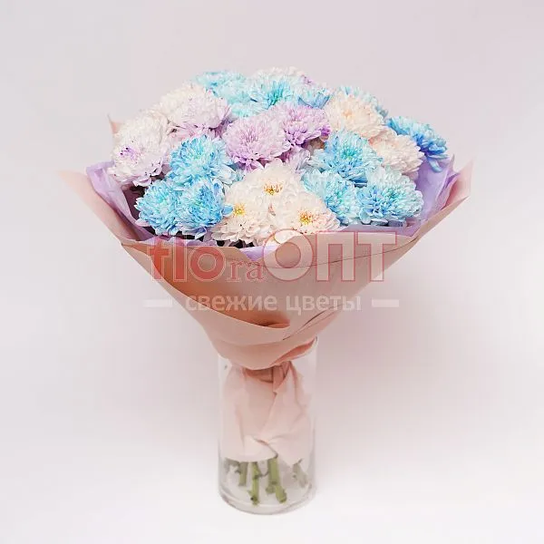 Букет № 555 из крашеных кустовых хризантем  — фото 2