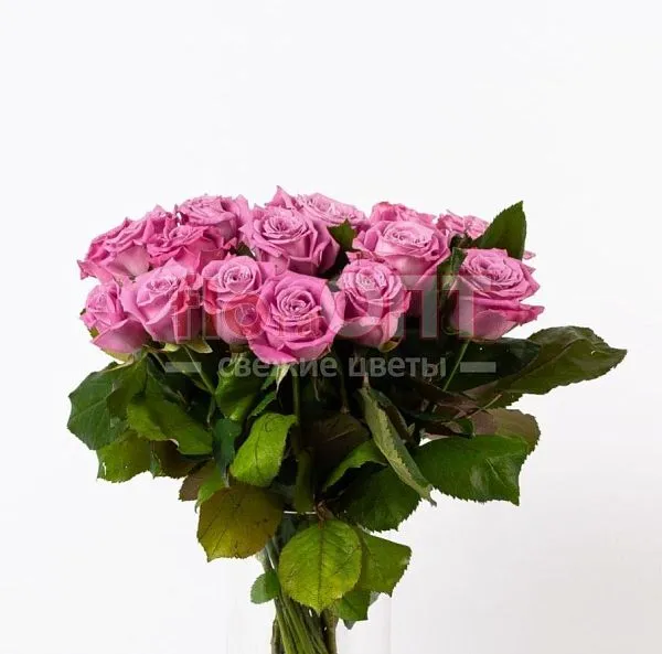 Роза Россия 60см — фото 4