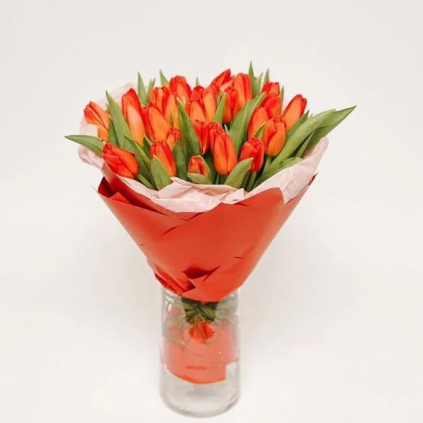 Букет № 564 из 25 тюльпанов — фото 1