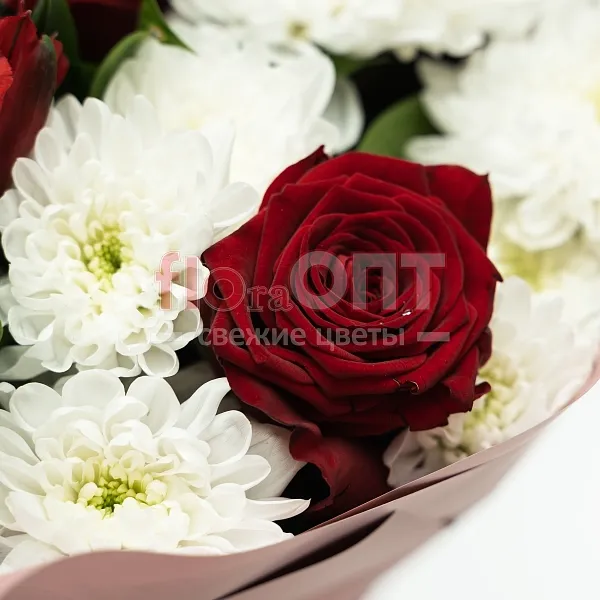 Букет № 515 с белой хризантемой и красными розами — фото 4