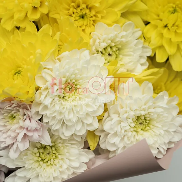 Букет № 527 с кустовой хризантемой  — фото 4