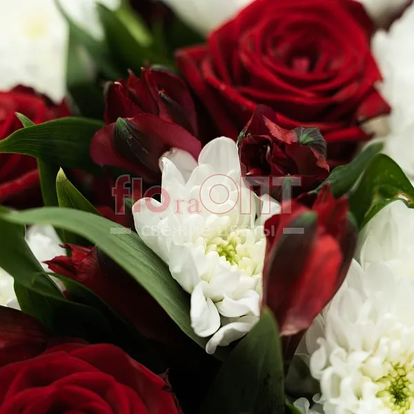 Букет № 515 с белой хризантемой и красными розами — фото 5