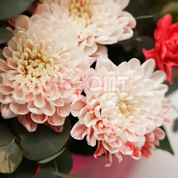 Композиция № 28 с розами и хризантемой  — фото 5