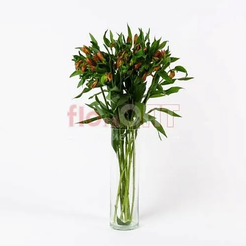 Альстромерия — фото 8