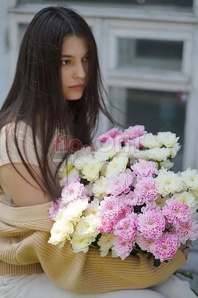 Хризантема крашеная Микс — фото 5