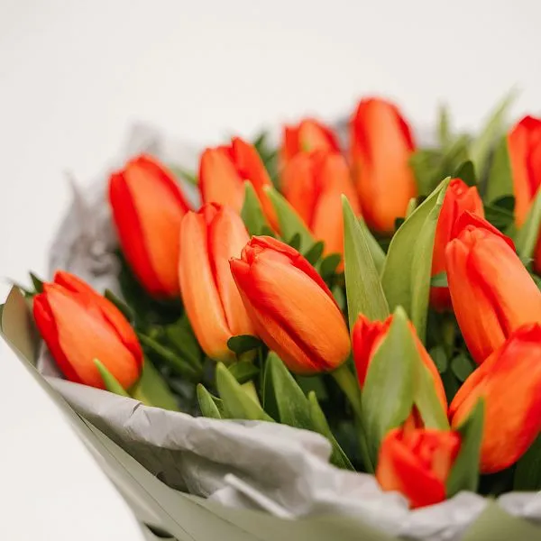 Букет № 563 из 19 тюльпанов — фото 2