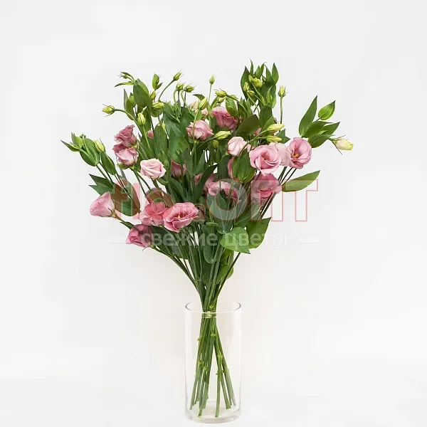 Эустома — фото 4