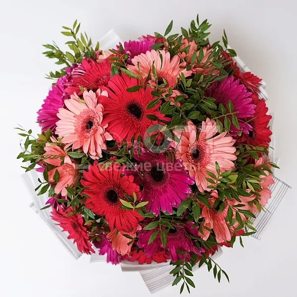 Букет № 269 из герберы и фисташки — фото 2