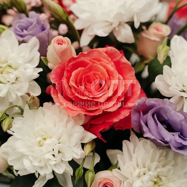 Коробка № 245 сборная  — фото 3