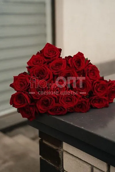 Роза Гран При 60 см — фото 1