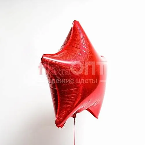 Воздушный шар (2) — фото 5