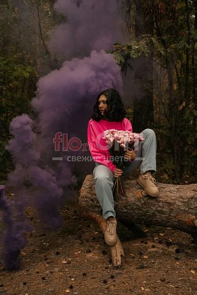 Хризантема крашеная Розовая — фото 3