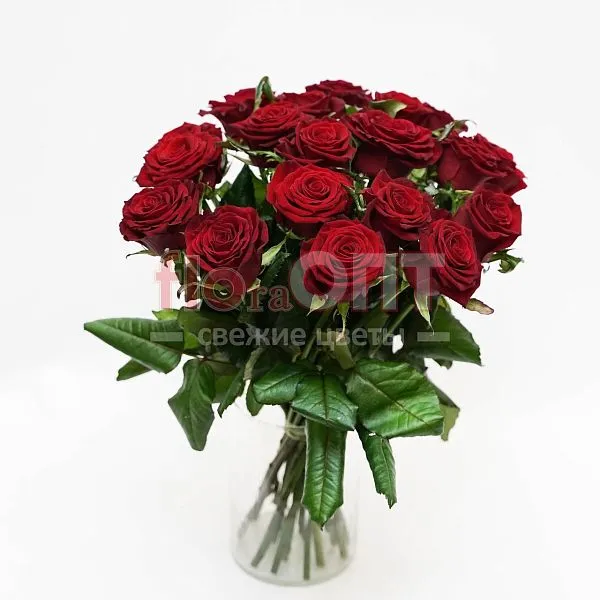 Роза Гран При 50 см — фото 2