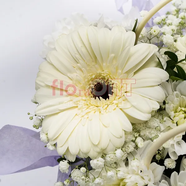 Коробка № 286 с белыми герберами  — фото 4