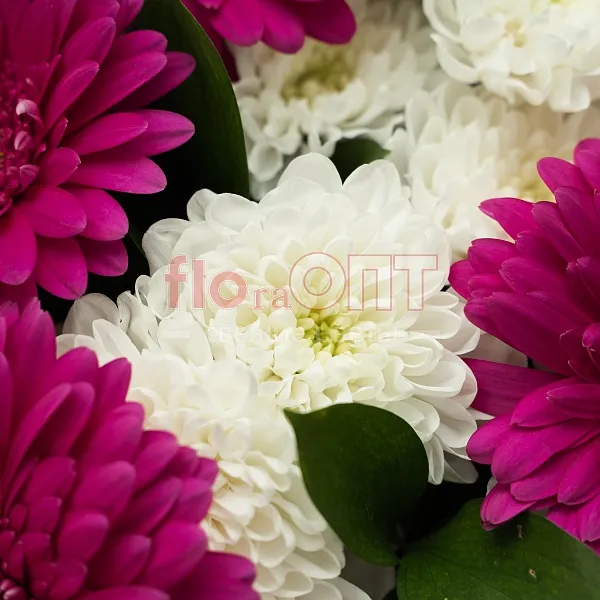 букет № 519 с герберами и хризантемой  — фото 5