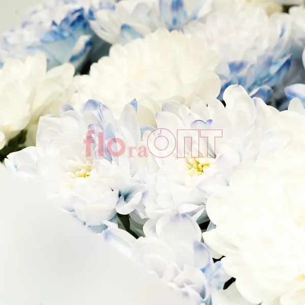 Букет № 531 с синей хризантемой  — фото 4