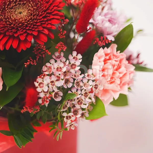 Композиция № 57 красная с герберами и гвоздикой  — фото 4