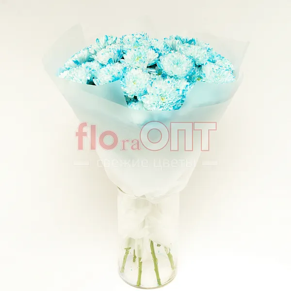Букет № 535 с синей крашеной хризантемой  — фото 1