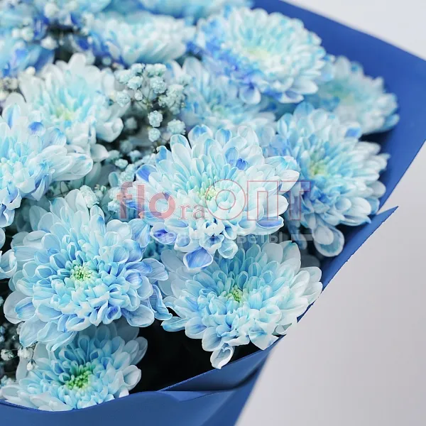 Букет № 160 с крашеной хризантемой  — фото 4