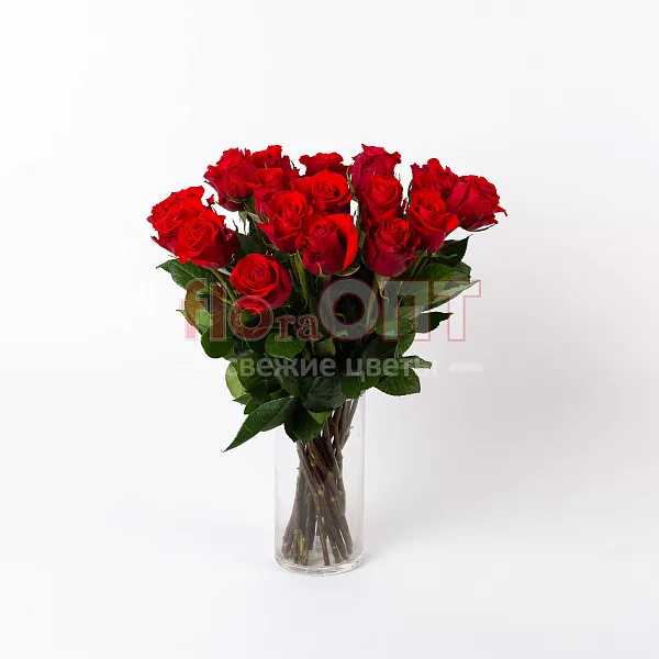 Роза Микс 50 см — фото 3