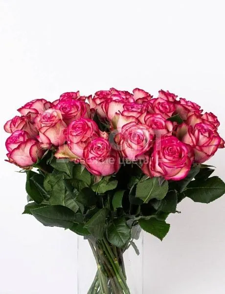 Роза Микс 70 см — фото 2