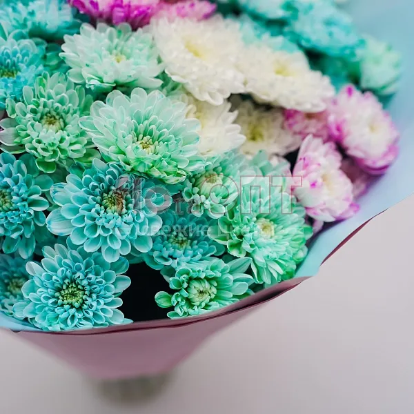 Букет № 128 из цветной кустовой хризантемы  — фото 4