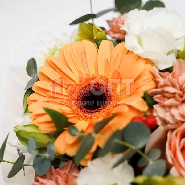 Композиция № 2 в пакете сборная с герберой  — фото 4