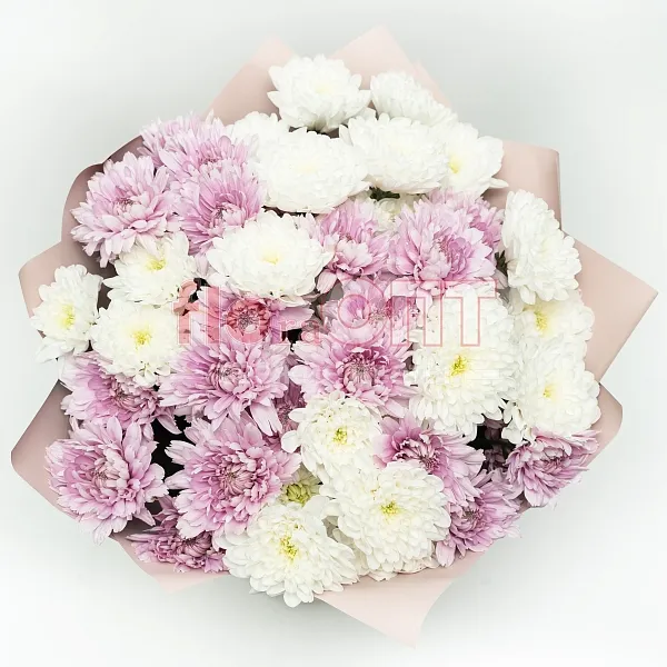 Букет № 520 с кустовой хризантемой  — фото 2